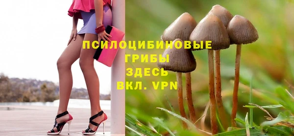 PSILOCYBIN Горнозаводск