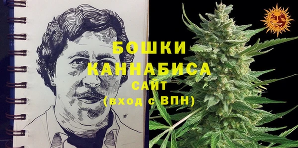 PSILOCYBIN Горнозаводск